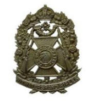 Witwatersrand regimental insignia