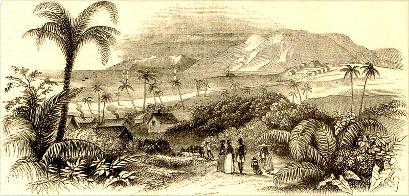 Demerara in 1843