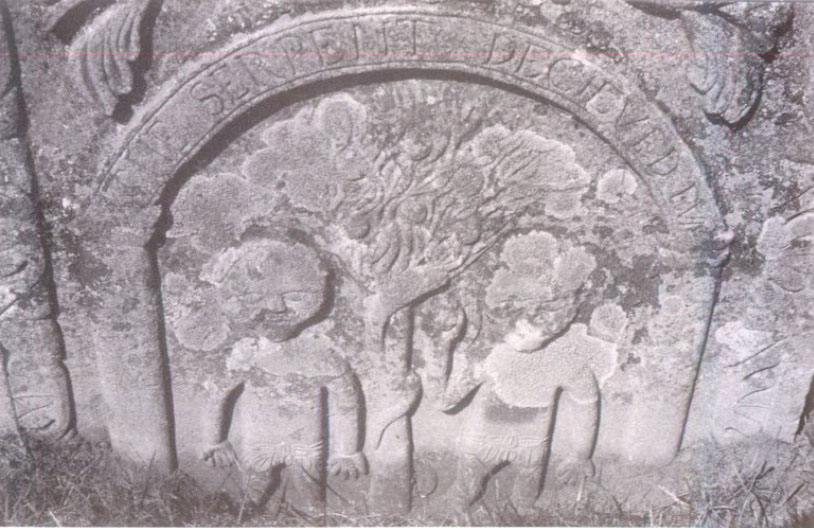 Gravestone for John and James douglas