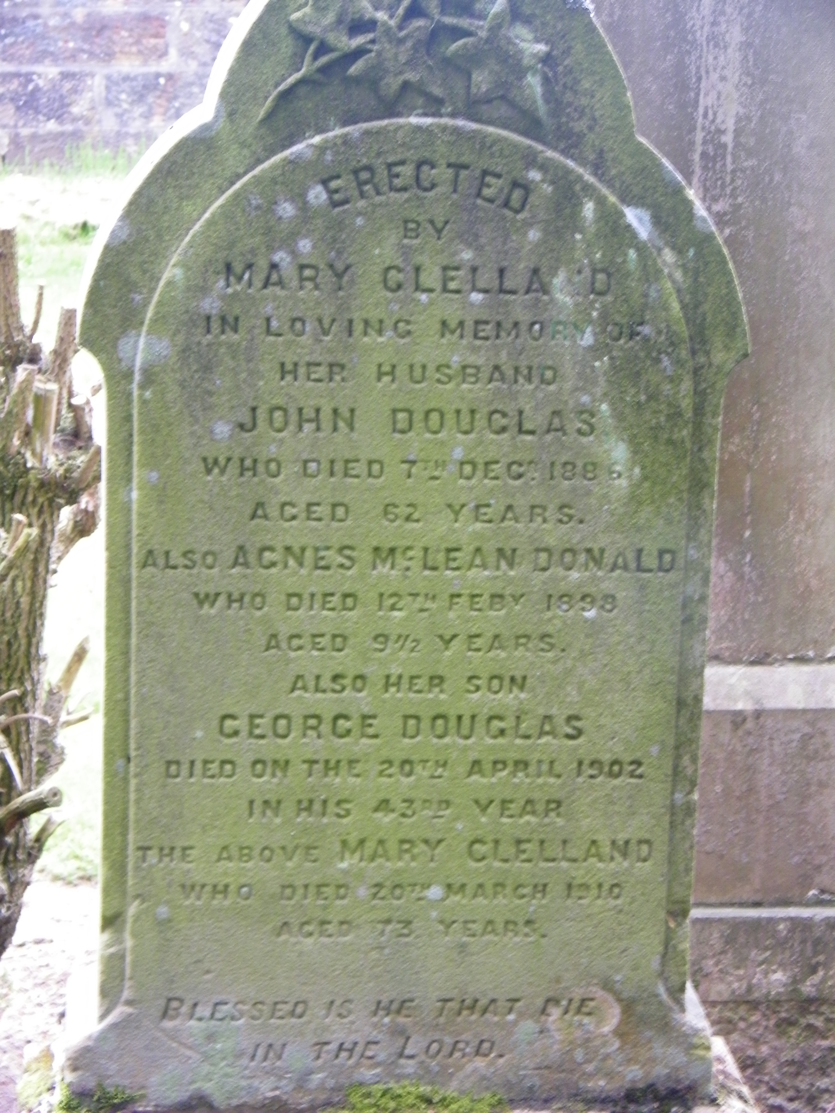 Douglas gravestone